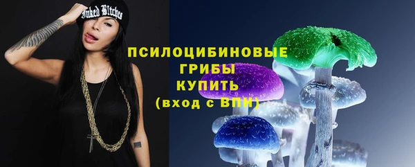 сатива Аркадак