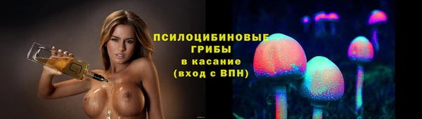 мяу мяу мука Баксан