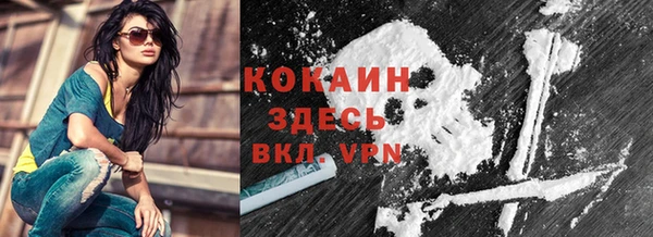 молекула духа Пересвет