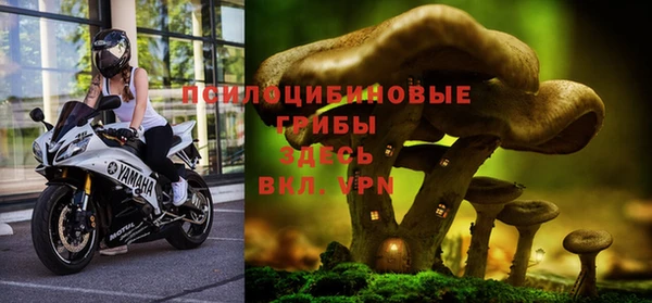 a pvp Балабаново