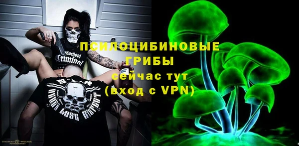 мяу мяу мука Баксан