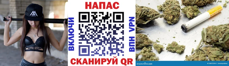МАРИХУАНА план  Велиж 